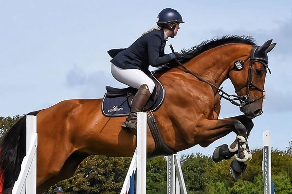 Guernsey Horse of the Year Show: A Thrilling Equestrian Extravaganza