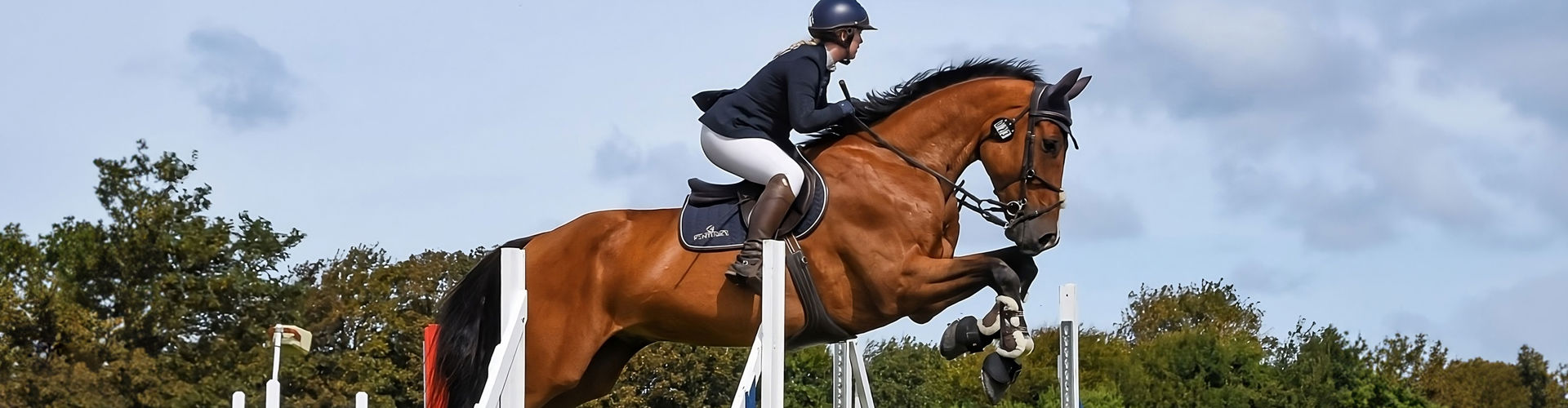 Guernsey Horse of the Year Show: A Thrilling Equestrian Extravaganza